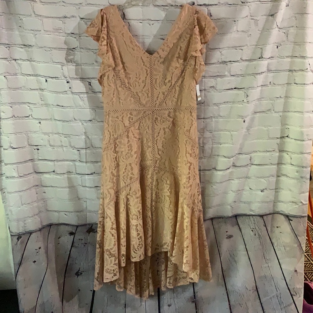 Dusty Pink Lace Dress, Size 12, NWT